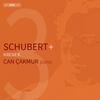 Schubert + Krenek - Piano Works