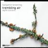 Benjamin Broening - Trembling Air
