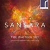 The Waiting Sky: Music for Advent and Christmas