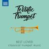 Terrific Trumpet: Best Loved Classical Trumpet Music