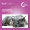 Tame Cat and other songs by British composers