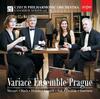 Czech Philharmonic Orchestra Chamber Series Vol.23: Variace Ensemble Prague