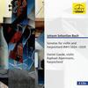 JS Bach - Sonatas for Violin and Harpsichord