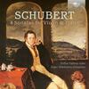 Schubert - 4 Sonatas for Violin & Piano