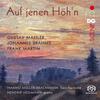 Auf jenen Hoh�n: Vocal Works by Mahler, Brahms & Martin
