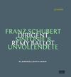 Schubert - Symphony no.8 (45rpm Vinyl LP)