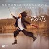 Nemanja Radulovic: Roots