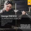 Enescu - The Unknown Enescu Vol.2