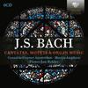 JS Bach in Context: Cantatas, Motets & Organ Music