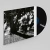 Dominic Miller: Vagabond (Vinyl LP)