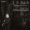 JS Bach - Sonatas & Partitas Vol.2