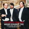 Pfitzner & Smetana - Piano Trios