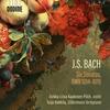 JS Bach - 6 Violin Sonatas, BWV1014-1019