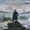 Schubert-Liszt - Der Wanderer: Wanderer Fantasy, Song Transcriptions