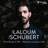 Schubert - Piano Sonata D959, Moments musicaux D780