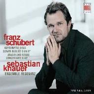 Schubert - Piano Works | Berlin Classics 0016162BC