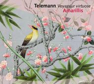 Telemann - Voyageur Virtuose | Naive AM112