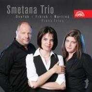 Dvorak / Fibich / Martinu - Piano Trios