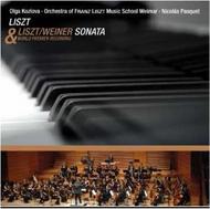 Liszt - Sonata in B minor (Piano & Orchestra Versions) | C-AVI AVI8553012