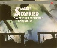 Wagner - Siegfried | Teldec 4509941932