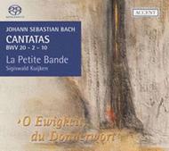 Cantatas for the Liturgical Year: Vol.7