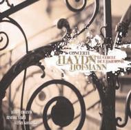 Haydn / Hofmann - Concerti