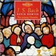 Bach - Complete Works for Organ vol.10