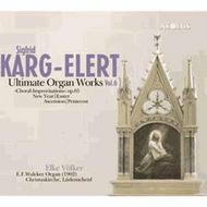 Karg-Elert - Ultimate Organ Works Vol.6 | Aeolus AE10721