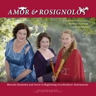 Amor & Rosignolo | Querstand VKJK1413