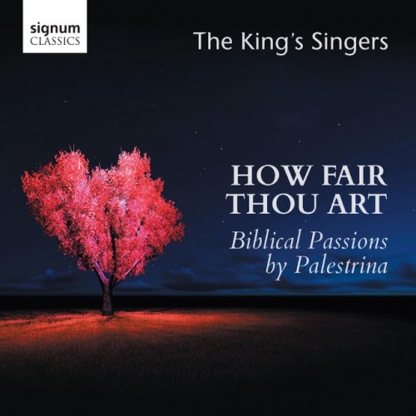 How Fair Thou Art: Biblical Passions by Palestrina | Signum SIGCD450