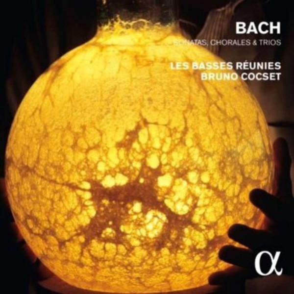 JS Bach - Sonatas, Chorales & Trios | Alpha ALPHA316