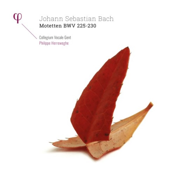 JS Bach - Motets BWV225-230 (LP) | Phi LPH950