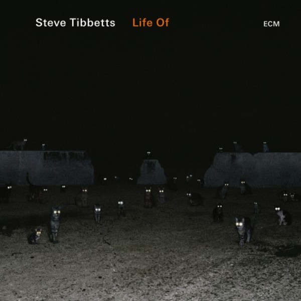 Steve Tibbetts - Life Of | ECM 6723545