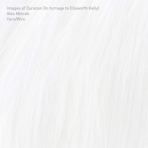 Alex Mincek - Images of Duration (In homage to Ellsworth Kelly) | Northern Spy CDNS103