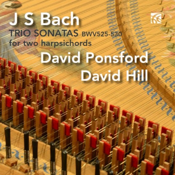 JS Bach - Trio Sonatas BWV525-530 for 2 Harpsichords | Nimbus - Alliance NI6403