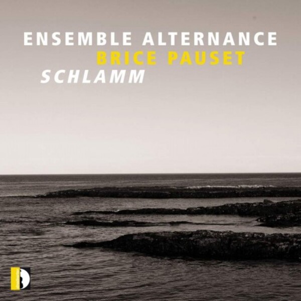 Pauset - Schlamm | Stradivarius STR37121