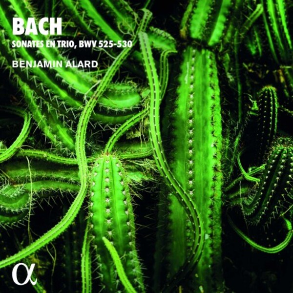 JS Bach - Organ Trio Sonatas, BWV525-530 | Alpha ALPHA609