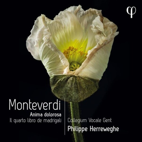 Monteverdi - Anima dolorosa: Il quarto libro de madrigali | Phi LPH037