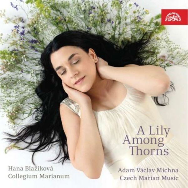 A Lily Among Thorns: Michna - Czech Marian Music | Supraphon SU43172