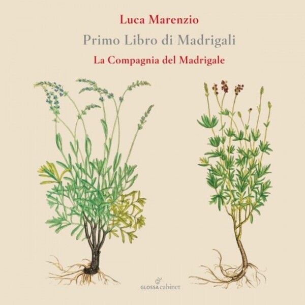 Marenzio - Primo Libro di Madrigali (Madrigals, Book 1) | Glossa GCDC82802