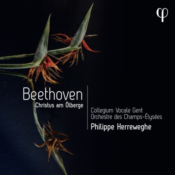 Beethoven - Christ on the Mount of Olives | Phi LPH039