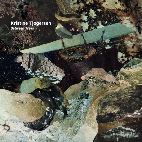 Tjogersen - Between Trees (Vinyl LP) | Aurora ACDLP5115