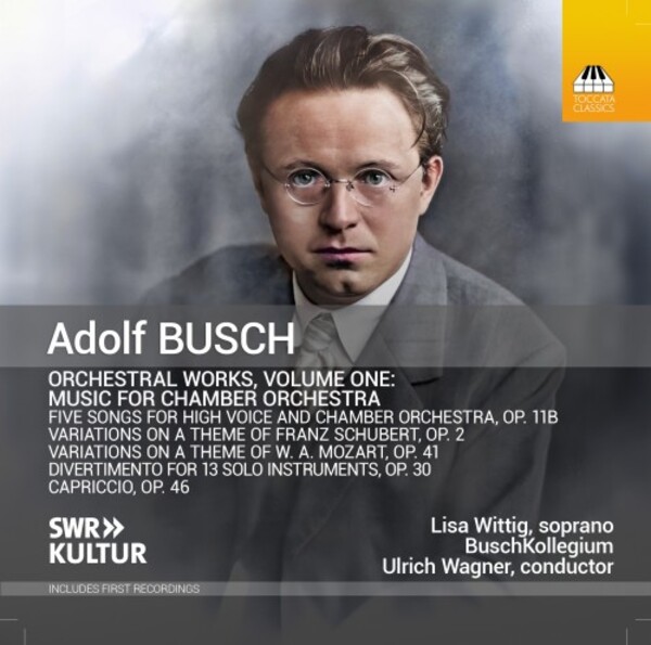 A Busch - Orchestral Works Vol.1: Music for Chamber Orchestra | Toccata Classics TOCC0671