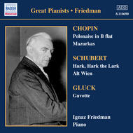 Friedman - Complete Recordings Vol.3 | Naxos - Historical 8110690